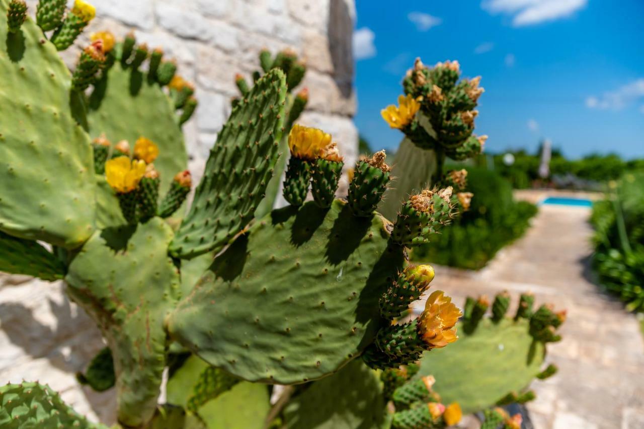 Wepuglia - Trullo Rampone Villa Martina Franca Exterior photo